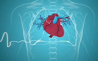 锁定心血管健康领域，明确未来10年的战略规划